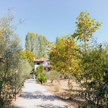 Diamond Farm Villa Kala Nera Ngoại thất bức ảnh