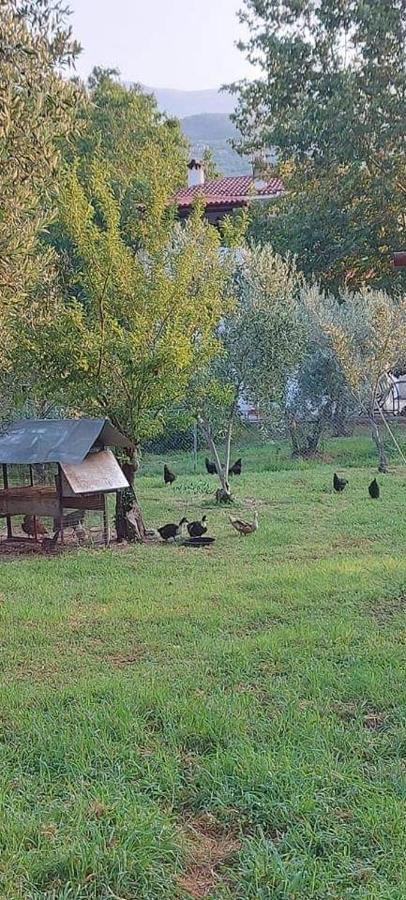 Diamond Farm Villa Kala Nera Ngoại thất bức ảnh