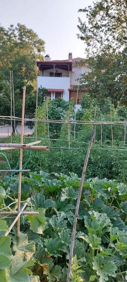 Diamond Farm Villa Kala Nera Ngoại thất bức ảnh