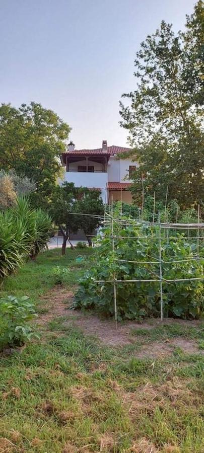 Diamond Farm Villa Kala Nera Ngoại thất bức ảnh