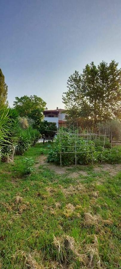 Diamond Farm Villa Kala Nera Ngoại thất bức ảnh