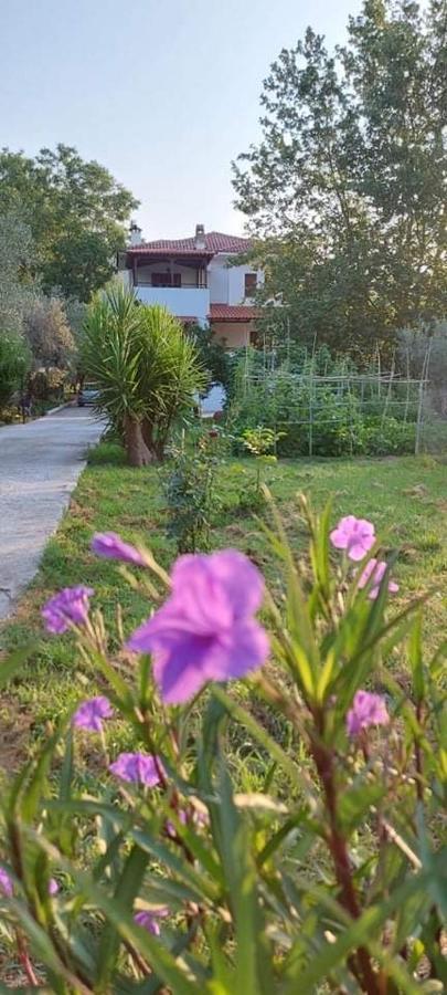 Diamond Farm Villa Kala Nera Ngoại thất bức ảnh
