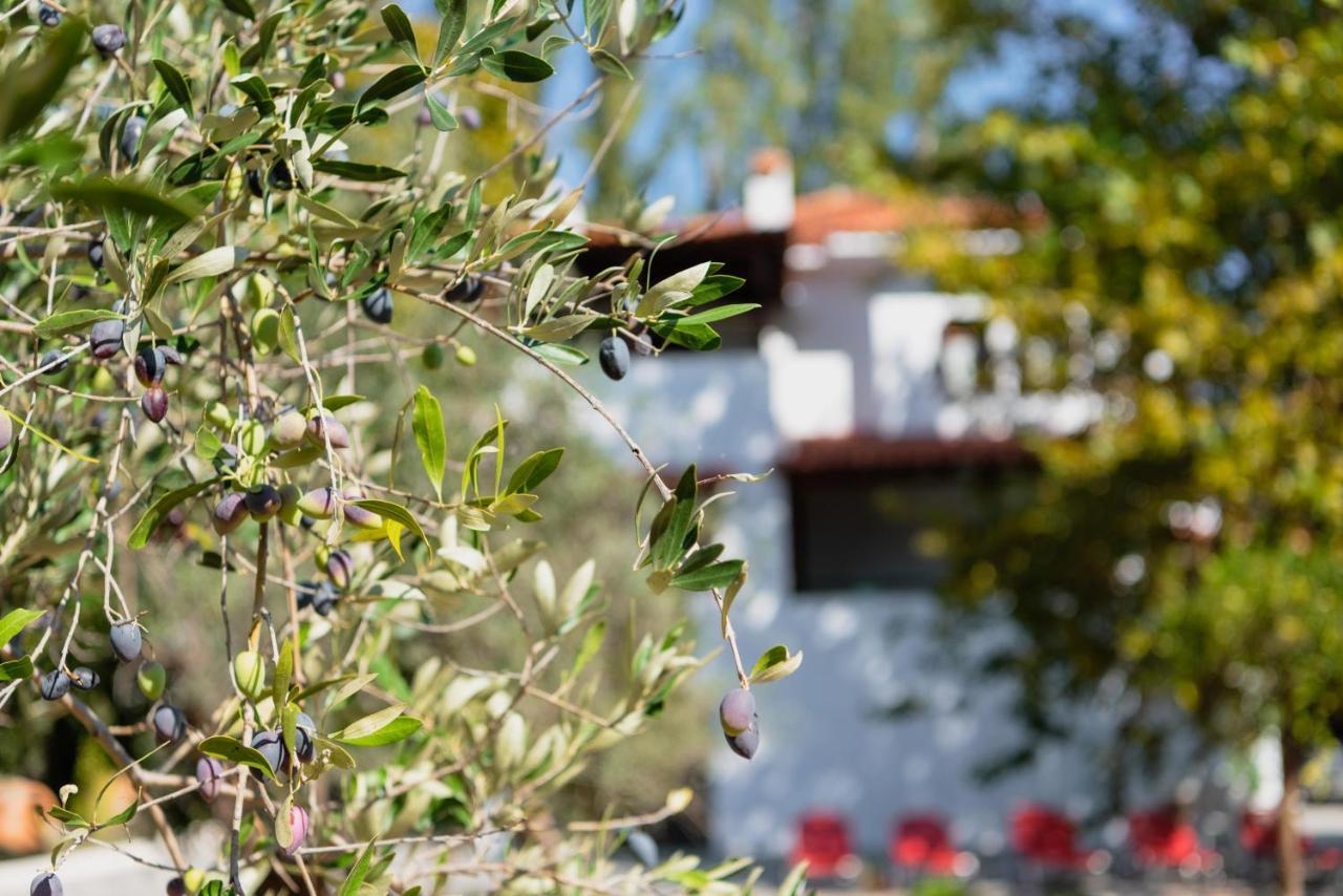 Diamond Farm Villa Kala Nera Ngoại thất bức ảnh